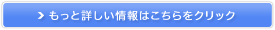 CMSڂ̐lތVXeyT[`vXforp[\z̔TCg